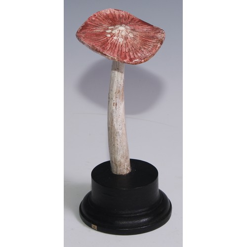 3692 - Natural History - Mycology - a painted model of fungus specimen, mounted for display, 19.5cm high