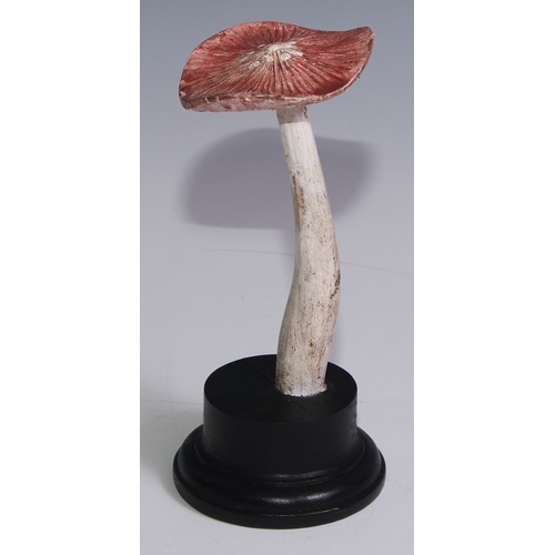 3692 - Natural History - Mycology - a painted model of fungus specimen, mounted for display, 19.5cm high