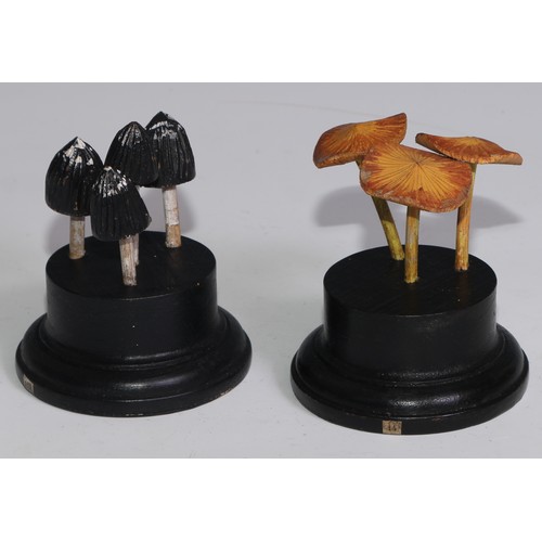 3688 - A painted softwood fungi specimen model, mounted for display, 10cm high; another (2)