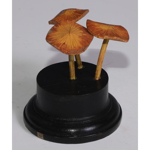 3688 - A painted softwood fungi specimen model, mounted for display, 10cm high; another (2)