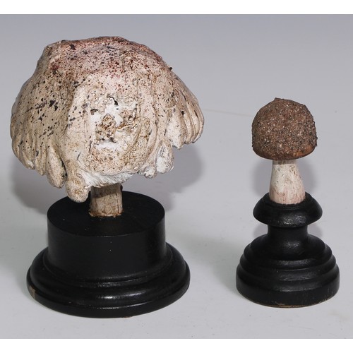 3690 - A painted softwood fungi specimen model, mounted for display, 15cm high; another (2)