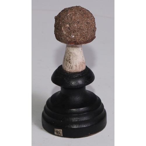 3690 - A painted softwood fungi specimen model, mounted for display, 15cm high; another (2)