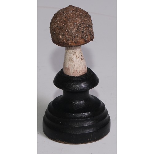 3690 - A painted softwood fungi specimen model, mounted for display, 15cm high; another (2)