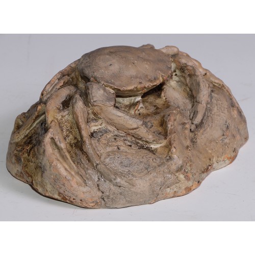 3650 - The Cabinet of Curiosities - a terracotta maquette or sculpture, of a crab, 16cm wide, indistinctly ... 