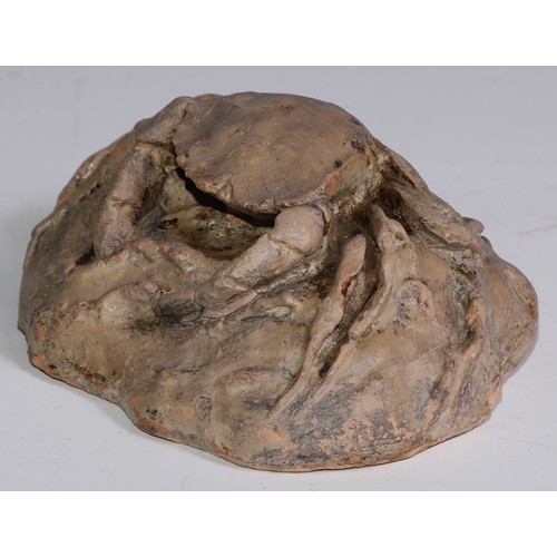 3650 - The Cabinet of Curiosities - a terracotta maquette or sculpture, of a crab, 16cm wide, indistinctly ... 