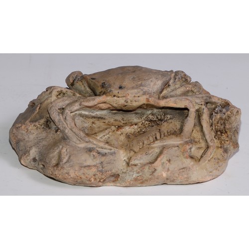 3650 - The Cabinet of Curiosities - a terracotta maquette or sculpture, of a crab, 16cm wide, indistinctly ... 