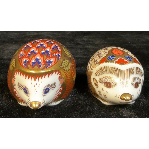 14 - A Royal Crown Derby paperweight, Orchard Hedgehog, gold stopper, boxed; another, Bramble Baby Hedgeh... 