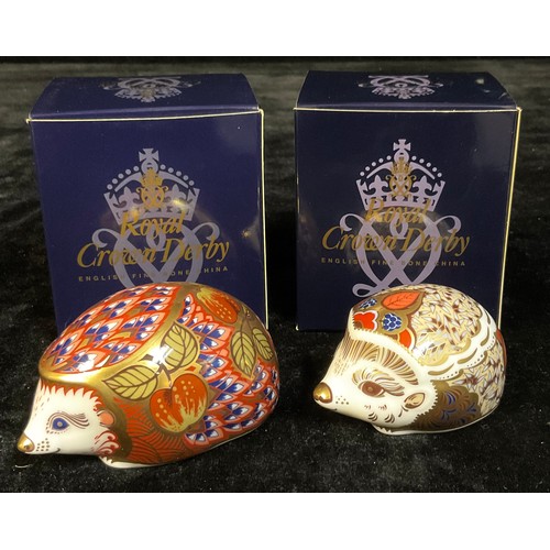 14 - A Royal Crown Derby paperweight, Orchard Hedgehog, gold stopper, boxed; another, Bramble Baby Hedgeh... 