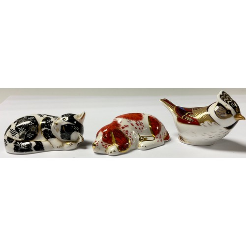 144 - A Royal Crown Derby Member's Pack paperweight, Misty Kitten, Collector's Guild exclusive, gold stopp... 