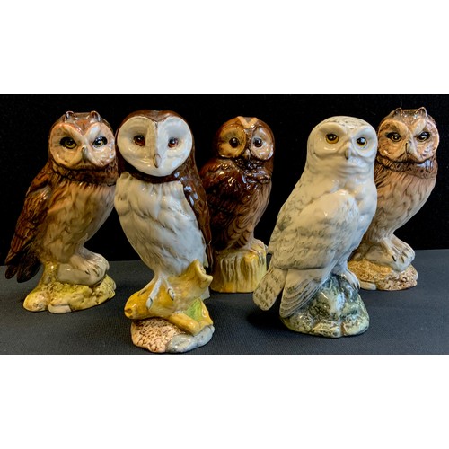 193 - A Royal Doulton Whyte and Mackay Whisky/liquor flask, Barn Owls;  others, Snowy Owl, Tawny Owl and S... 