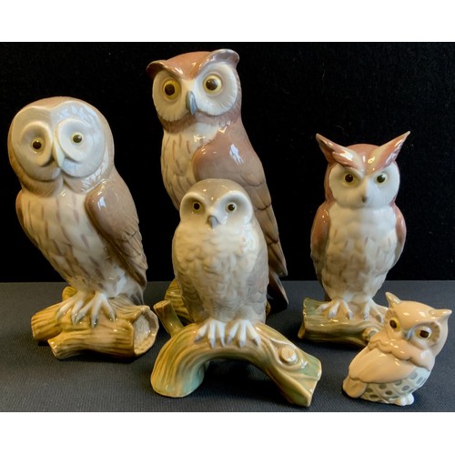 195 - A Lladro model Short Eared Owl, no 5418, 19cm high, impressed and printed marks;  others smaller;  G... 