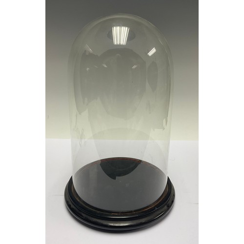 1457 - A glass display dome, the base 21cm diameter, the dome 18cm diam, 31cm high, 33.5cm high overall