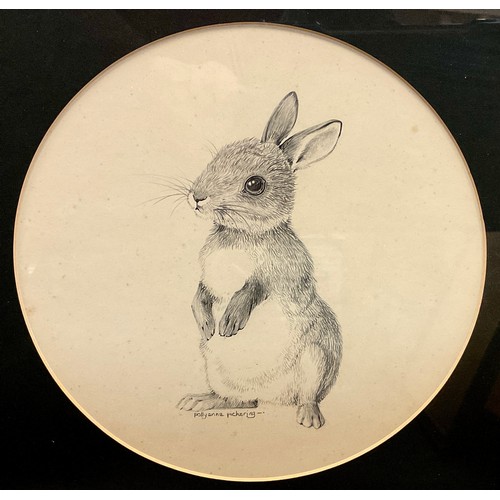 65 - Pollyanna Pickering (1942-2015) 
A Young Rabbit 
Signed, fine pencil on paper, 21cm x 20.5cm.