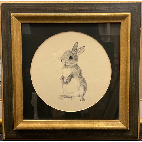 65 - Pollyanna Pickering (1942-2015) 
A Young Rabbit 
Signed, fine pencil on paper, 21cm x 20.5cm.