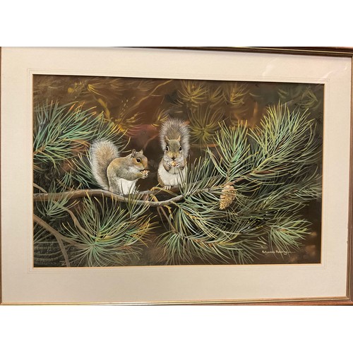 58 - Pollyanna Pickering (English, 1942-2018), 
Grey Squirrel pair,
signed, gouache on artist's board, 37... 