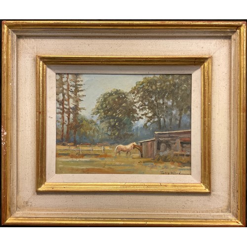 207 - Terry Ward, Horses in the Paddock, signed, oil on board, 15cm x 20cm.