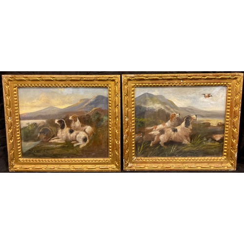 213 - Robert Cleminson, a pair, Working Spaniels, attributed to verso, oils on board, 24cm x 30cm, (2).