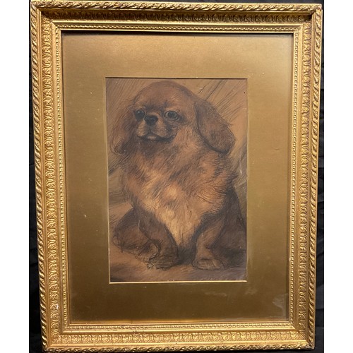 173 - Maud Earl, (attributed to), ‘Pekingese’, 
indistinctly signed, 31cm x 21cm.