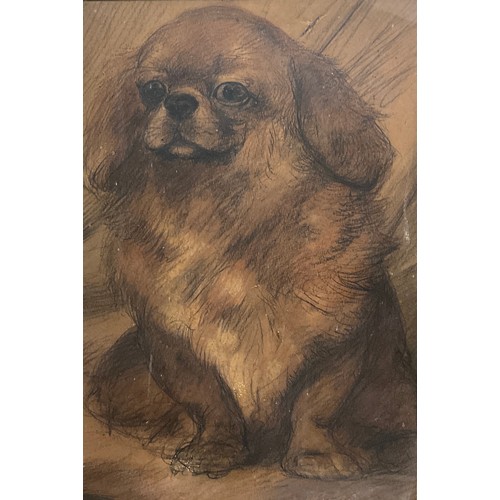 173 - Maud Earl, (attributed to), ‘Pekingese’, 
indistinctly signed, 31cm x 21cm.