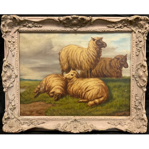 62 - Follower of Alfred Morris, Flock of Sheep at Rest, oil on canvas, 31cm x 41cm.