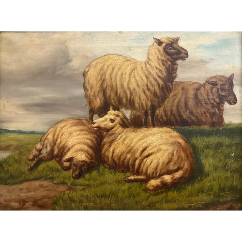 62 - Follower of Alfred Morris, Flock of Sheep at Rest, oil on canvas, 31cm x 41cm.