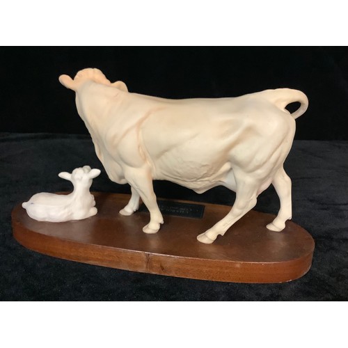 25 - A Beswick Connoisseur model, Charolais Cow and Calf, oval mahogany stand, 33cm