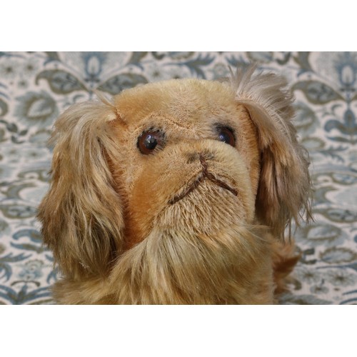 6003 - A 1940's/1950's golden mohair Pekingese Dog, amber and black plastic eyes, brown stitched nose and m... 