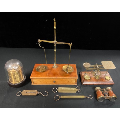 184 - A set of early 20th century brass apothecary balance scales and weight, mounted on mahogany base wit... 