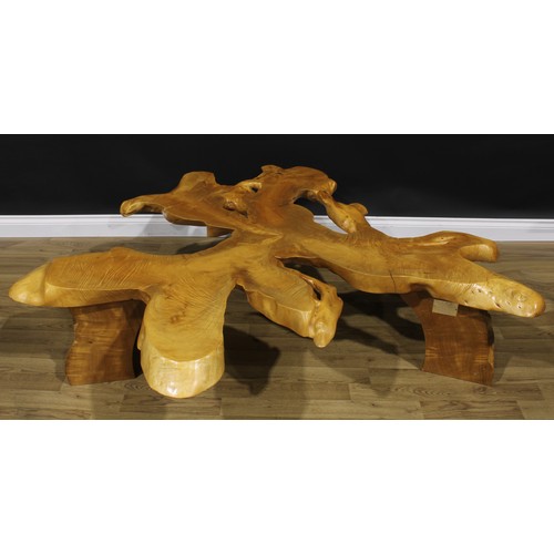 2217 - An Australian Queensland maple root flare low table, naturalistic top with areas of chatoyancy, shap... 