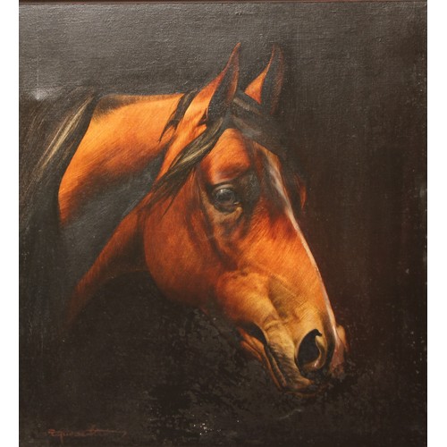 564 - Aleksander Żywiecki (Polish Bn.1962)
Studium Glowy Konskiej, Study of the Head of Konska, a bay hors... 