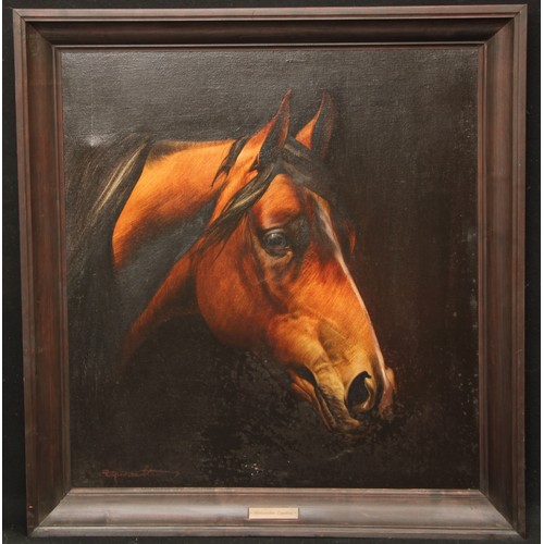 564 - Aleksander Żywiecki (Polish Bn.1962)
Studium Glowy Konskiej, Study of the Head of Konska, a bay hors... 