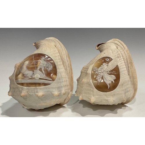 2088 - A pair of large 19th century Grand Tour cameo conch shells, carved after the antique with a Classica... 