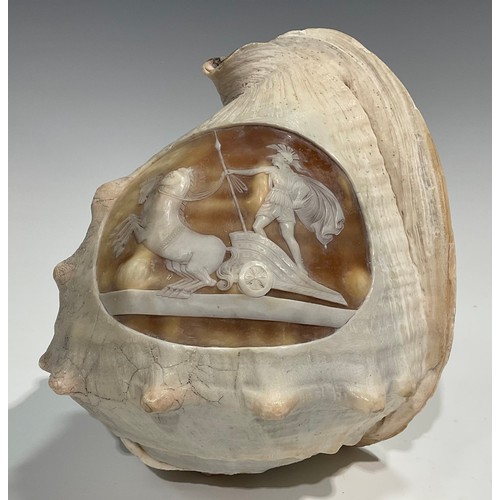 2088 - A pair of large 19th century Grand Tour cameo conch shells, carved after the antique with a Classica... 