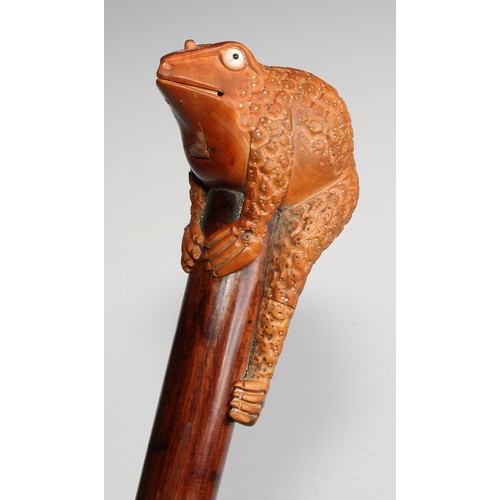 2672 - An early 20th century novelty walking stick, the boxwood pommel carved as Jin Chan, the Chinese mone... 