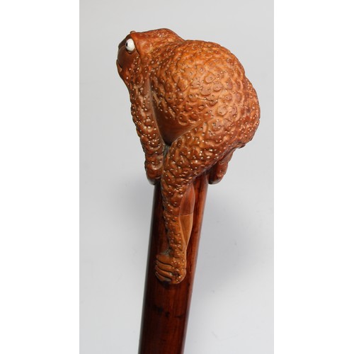 2672 - An early 20th century novelty walking stick, the boxwood pommel carved as Jin Chan, the Chinese mone... 