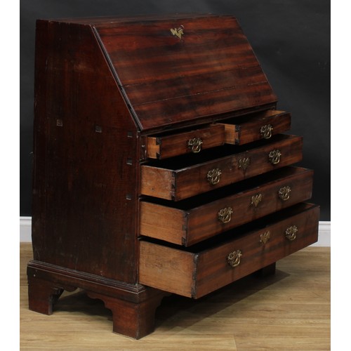 2062 - An unusual George II/early III laburnum bureau, fall front enclosing a cupboard flanked by secret co... 