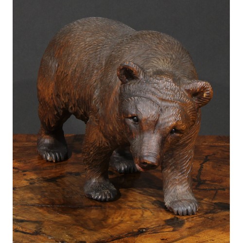 2501 - A large Black Forest bear, naturalistically carved, on all fours, glass eyes, painted mouth, 36cm lo... 