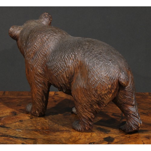 2501 - A large Black Forest bear, naturalistically carved, on all fours, glass eyes, painted mouth, 36cm lo... 