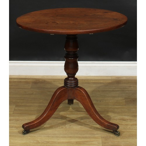 2492 - A George IV mahogany tripod occasional table, one-piece circular tilting top, turned column, cabriol... 