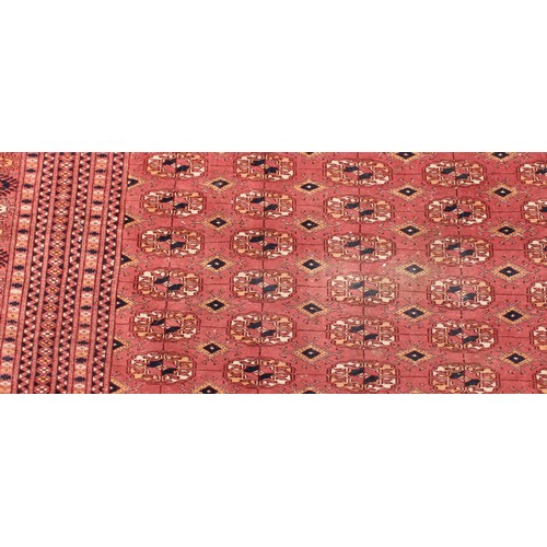 2574 - A Tekke Turkmen wool rug or carpet, worked in the traditional Bokhara design, 306cm x 220cm