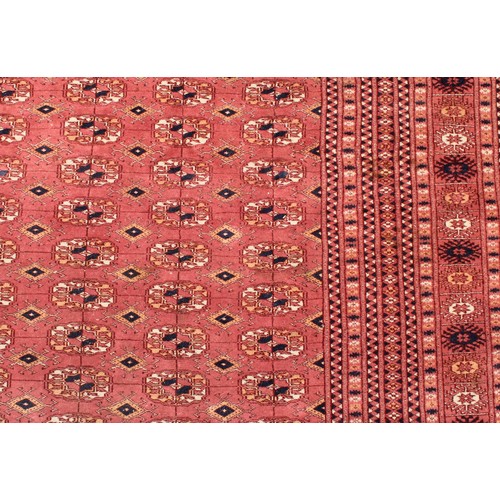 2574 - A Tekke Turkmen wool rug or carpet, worked in the traditional Bokhara design, 306cm x 220cm