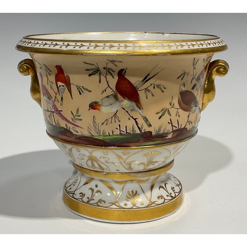 108 - A 19th century English porcelain cachepot, painted with birds perched on leafy stems, against a peac... 