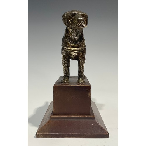 2095 - A pair of silvered models or car mascots, as dogs, by Louis Lejeune Ltd, mahogany plinths, 16cm high