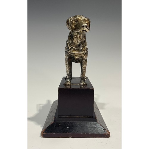 2095 - A pair of silvered models or car mascots, as dogs, by Louis Lejeune Ltd, mahogany plinths, 16cm high