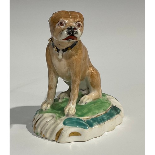 121 - A Derby porcelain model, of a pug, with studded collar, sitting on a shaped oval scroll base, incise... 