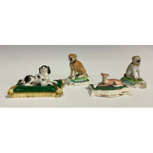 121 - A Derby porcelain model, of a pug, with studded collar, sitting on a shaped oval scroll base, incise... 