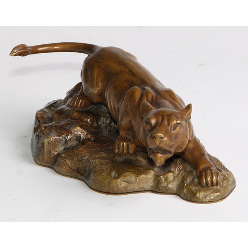 2704 - Continental School (early 20th century), a patinated bronze, of a mountain lion, stalking a rocky ou... 