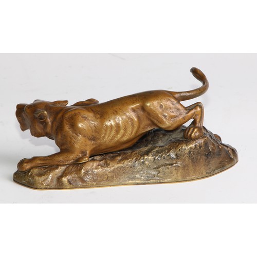 2704 - Continental School (early 20th century), a patinated bronze, of a mountain lion, stalking a rocky ou... 