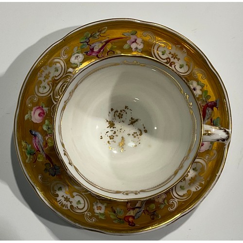 168 - A Coalport cup and saucer, painted with flowers and birds on a gilt ground, printed marks in green, ... 