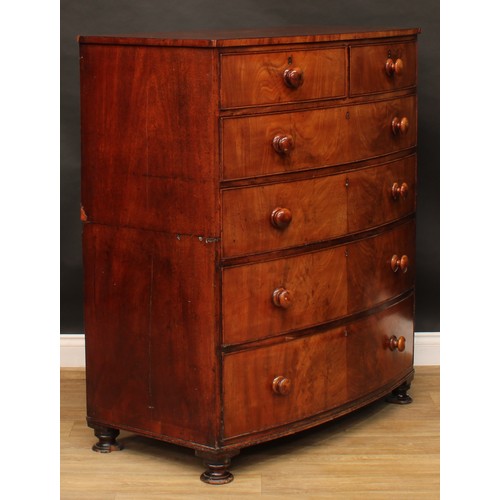 2684 - An early Victorian mahogany bowfront split chest, slightly oversailing top above two short and four ... 